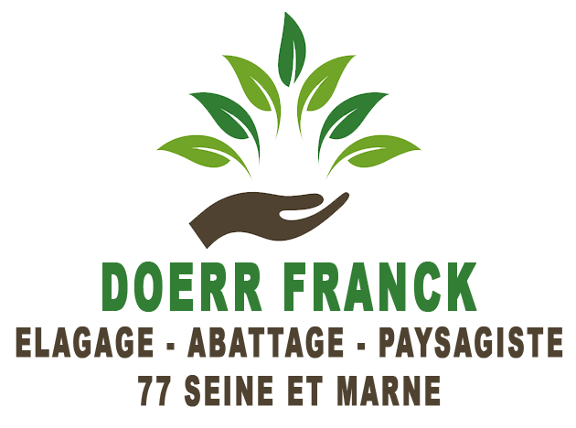 DOERR Franck Elagage 77